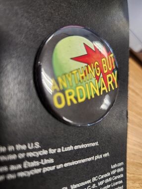 ⭐NEW Anything But Ordinary Button Pin